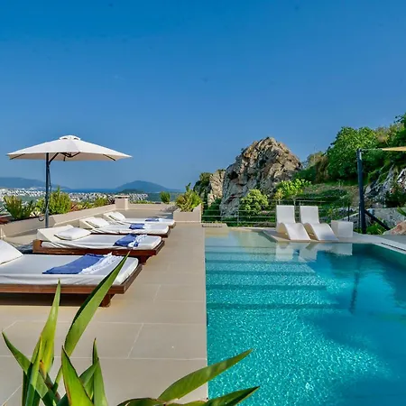 Vilă Mansion With Sea And Rocks View, Housekeeper, Breakfast Bitez
